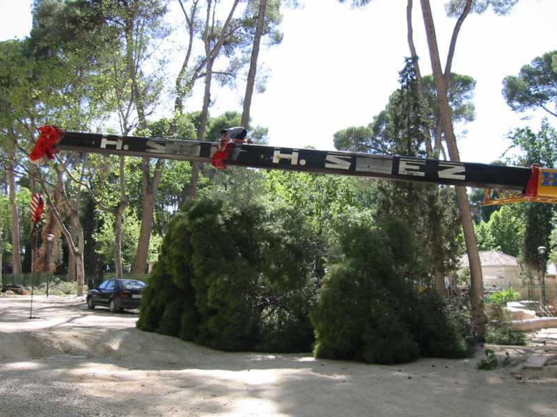 Tala de árbol con grúa de gran tonelaje