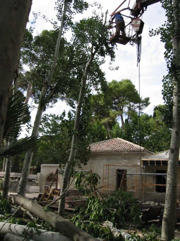 Operario trabajando en altura desde una cesta elevadora