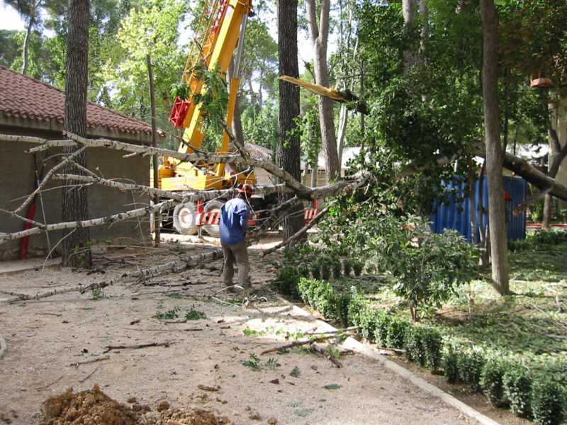 Descenso controlado de un tronco junto a un edificio