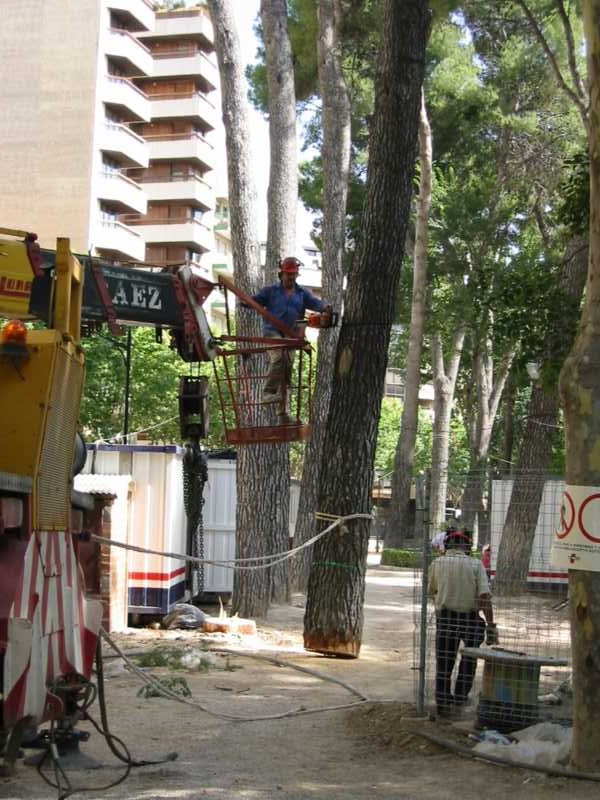 Despunte de un tronco desde la cesta elevadora