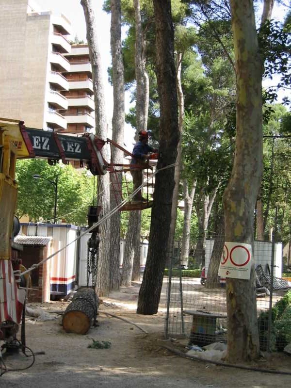 Tala con cuerda de retención desde cesta