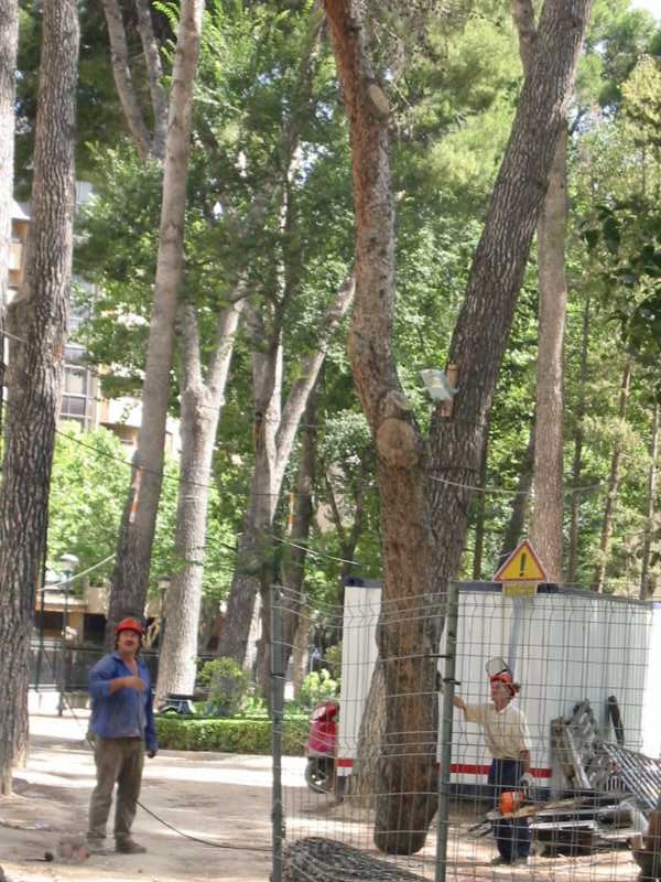 Zona de trabajo balizada y vallada