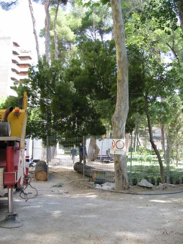 Acopio de madera tras la tala junto a la grúa